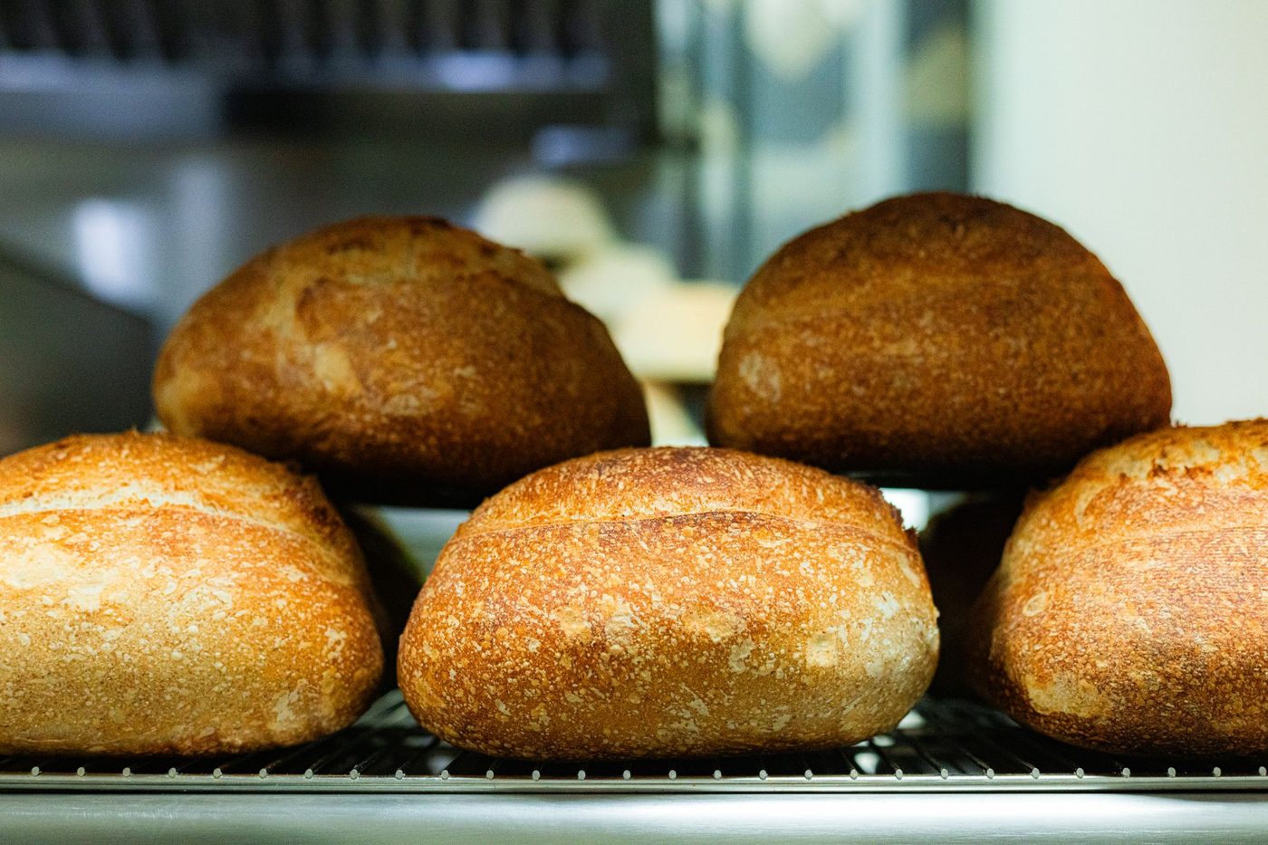Miches de pain au levain à la croûte dorée et farinée, posées sur une grille